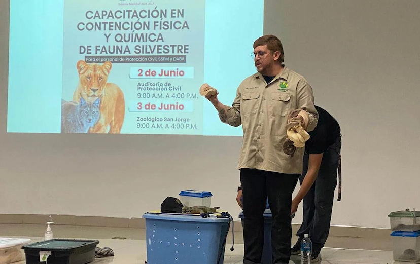 Capacitación especializada asegura manejo de fauna en Juárez